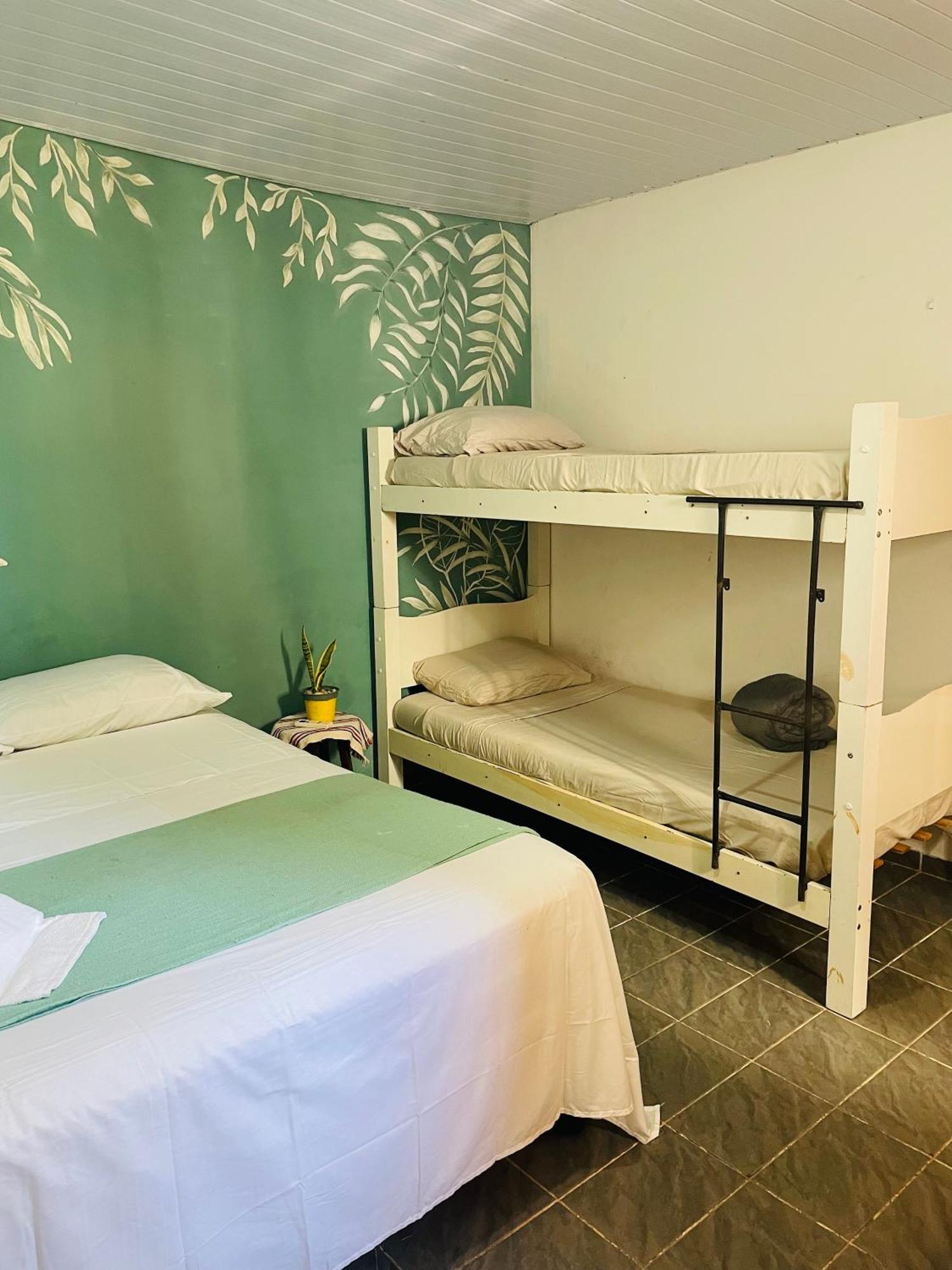 Praia de Pipa Vista Surf Pipa Hostel מראה חיצוני תמונה